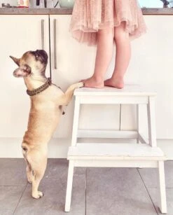 Touch Of Leather Dog Collar - Chocolate By Molly And Stitch US -Campmor Outdoor Clothing Z5pGgweA