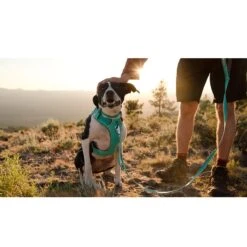 Ruffwear Front Range Harness -Campmor Outdoor Clothing a 518e03cb c760 4498 b8a6 a9c15280cbeb