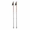 Mountainsmith Pyrite 7075 Trekking Poles - Silver Aluminum with Anti-Shock Cork Grips (Pair)