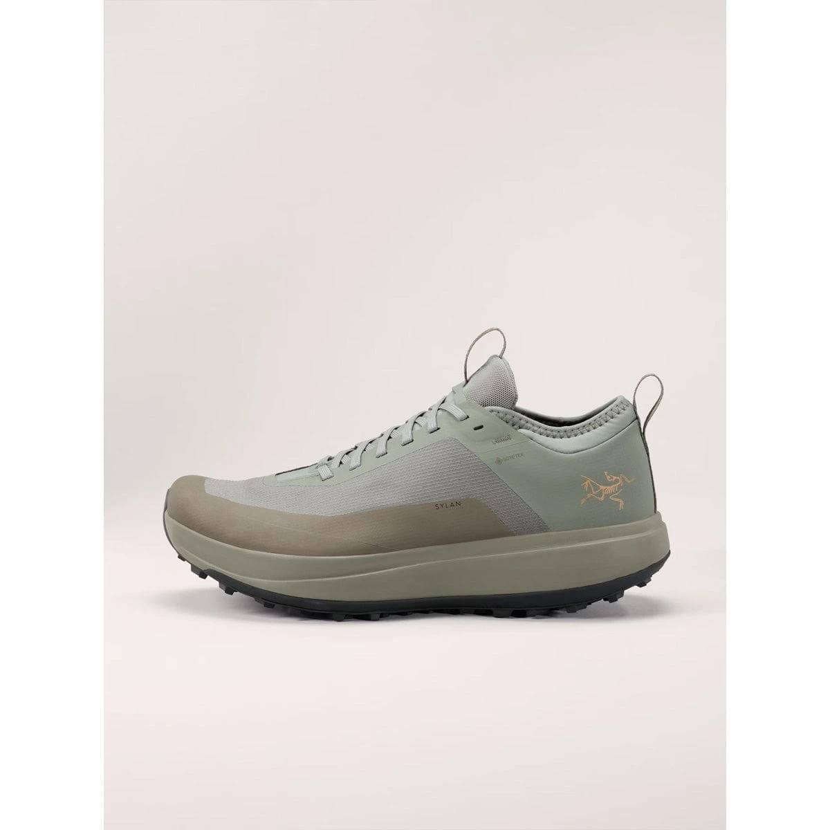 Arc'teryx Men's Sylan GTX Running Shoe 1 Arc'teryx Men's Sylan GTX Running Shoe