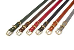 Butter Leather Dog Collar - Timeless Grey By Molly And Stitch US 18 Butter Leather Dog Collar - Timeless Grey By Molly And Stitch US -Campmor Outdoor Clothing br6ShCPg 104814be d39a 40f0 b980 bad37dd117ef