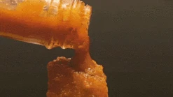 Trailer Park Boys - Ricky's Smokes Let's Go Hot Sauce 5oz By Coney Island Saucery -Campmor Outdoor Clothing ezgif.com optimize 3 b845bbda 83f4 4ec5 a498 ac2a9d991d05