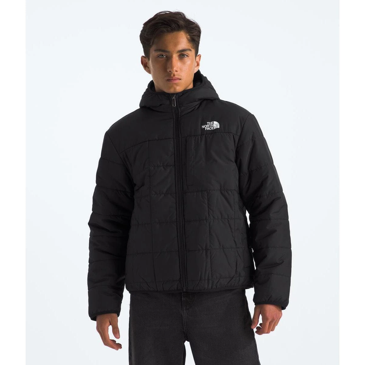 The North Face Boys' Reversible Shasta Full Zip Hooded Jacket 6 The North Face Boys' Reversible Shasta Full Zip Hooded Jacket - Image 6