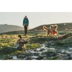 Ruffwear Front Range Harness -Campmor Outdoor Clothing fronthar bla2z