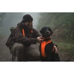 Ruffwear Front Range Harness -Campmor Outdoor Clothing fronthar blaz