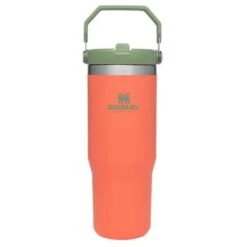 Stanley The IceFlow Flip Straw 20 Oz. Tumbler -Campmor Outdoor Clothing guava