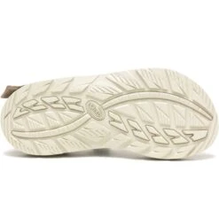 Chaco Men's Z/1 Classic Sandal -Campmor Outdoor Clothing i 119c19a7 dc70 4923 b906 cd4dfb0c4464