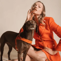 Butter Leather City Dog Leash - Mango By Molly And Stitch US -Campmor Outdoor Clothing ig sq Molly Stitch6591