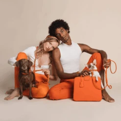 Butter Leather Dog Collar - Mango By Molly And Stitch US 9 Butter Leather Dog Collar - Mango By Molly And Stitch US -Campmor Outdoor Clothing ig sq Molly Stitch6851