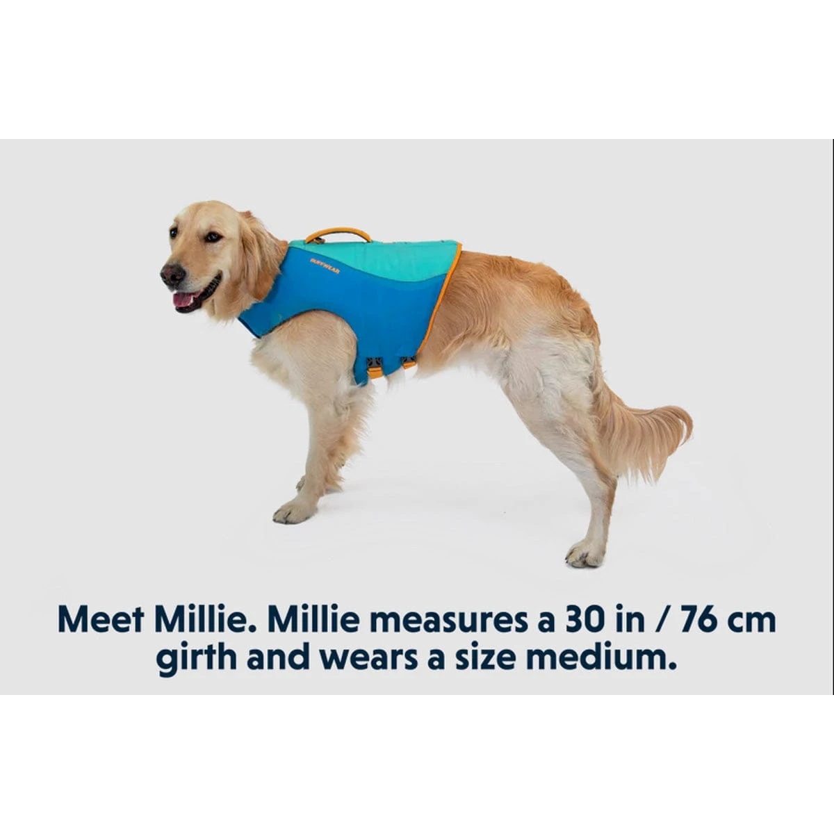 Ruffwear Float Coat Life Jacket 10 Ruffwear Float Coat Life Jacket - Image 10