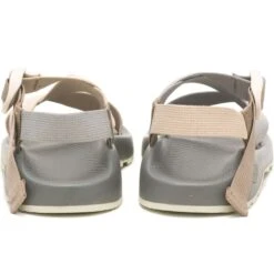 Chaco Men's Z/1 Classic Sandal -Campmor Outdoor Clothing k 7360de97 a889 4d1c a1a2 0e4e65f6c913