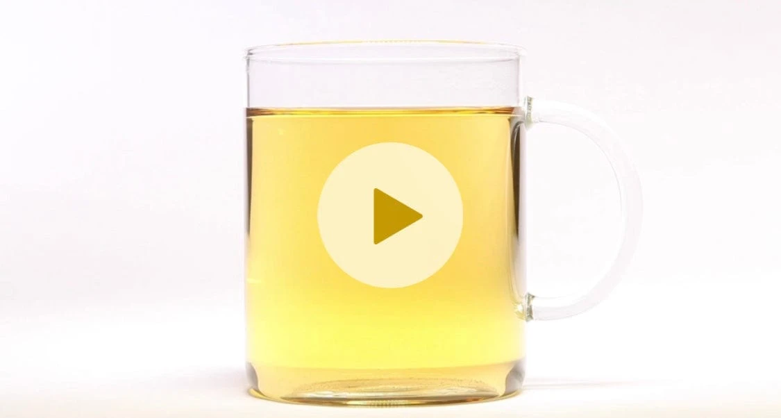 Organic Lemon Ginger Oolong Tea, Full Leaf, In Pyramid Tea Bags By Paromi Tea 6 Organic Lemon Ginger Oolong Tea, Full Leaf, In Pyramid Tea Bags By Paromi Tea - Image 6