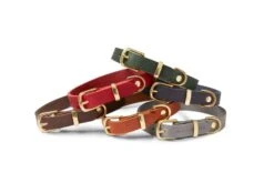 Butter Leather Dog Collar - Chili Red By Molly And Stitch US -Campmor Outdoor Clothing t4dB6ZQg