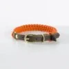 Touch Of Leather Dog Collar - Pumpkin By Molly And Stitch US