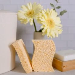 Zero Waste Cellulose Kitchen Sponges - 100% Biodegradable Wood Pulp Eco-Friendly Scrubber 11 Zero Waste Cellulose Kitchen Sponges - 100% Biodegradable Wood Pulp Eco-Friendly Scrubber -Campmor Outdoor Clothing zero waste club biodegradable sponges zero waste sponges biodegradable 100 wood pulp 2 sponges 31137932148847